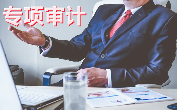 细说专项审计