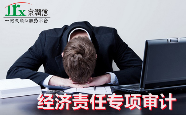 细说专项审计