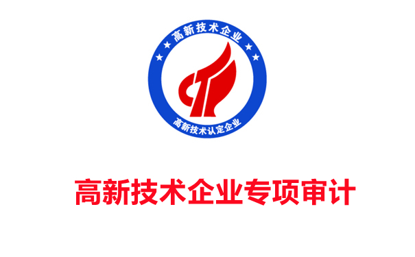 细说专项审计