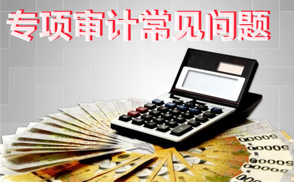 细说专项审计