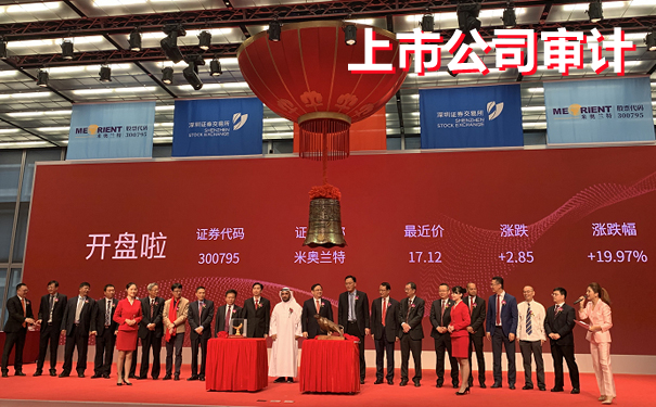 一文带你了解上市公司审计的全部内容，赶紧收藏起来吧