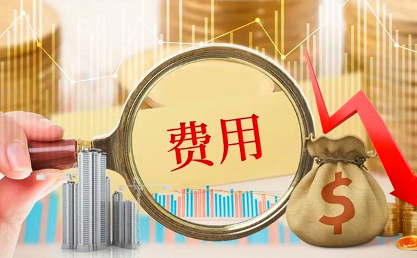 成本费用审计指南（参考案例）