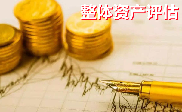一文带你了解“整体资产评估”的全部内容，赶紧收藏起来吧