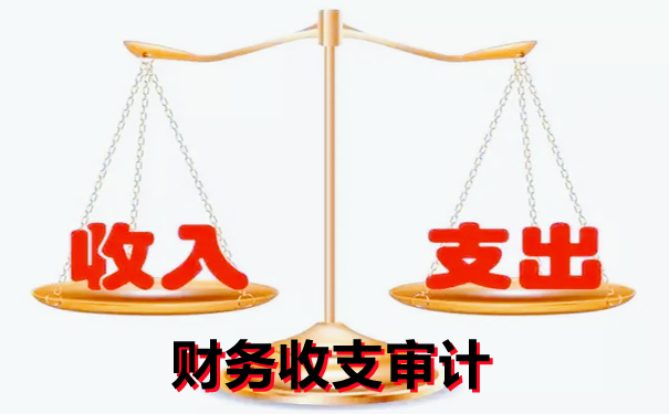 不懂财务收支审计的看过来，一篇文章让你全面了解